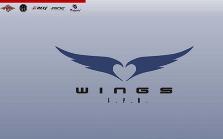Wings – Bear – Reef – Concept